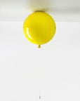 Globe LED Ceiling Lamp