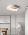 Modern Cylindrical LED Ceiling Lamp