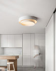 Modern Cylindrical LED Ceiling Lamp