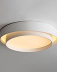 Modern Cylindrical LED Ceiling Lamp
