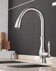 Modern Elegant Pull-Out Faucet