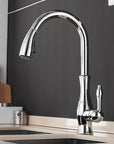 Modern Elegant Pull-Out Faucet