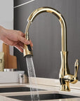 Modern Elegant Pull-Out Faucet
