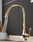 Modern Elegant Pull-Out Faucet