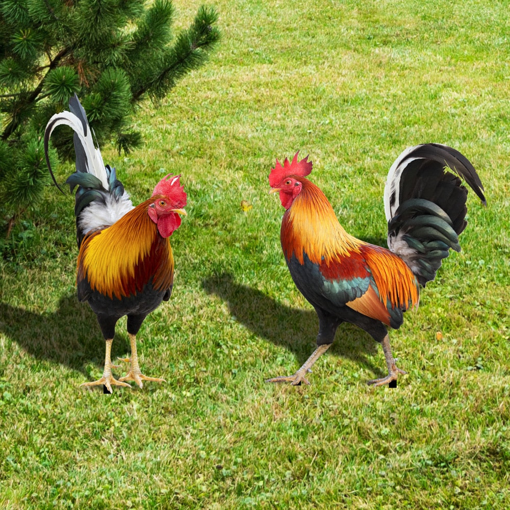 Animal Niezniszczalny Aranżacja Kwiatowa