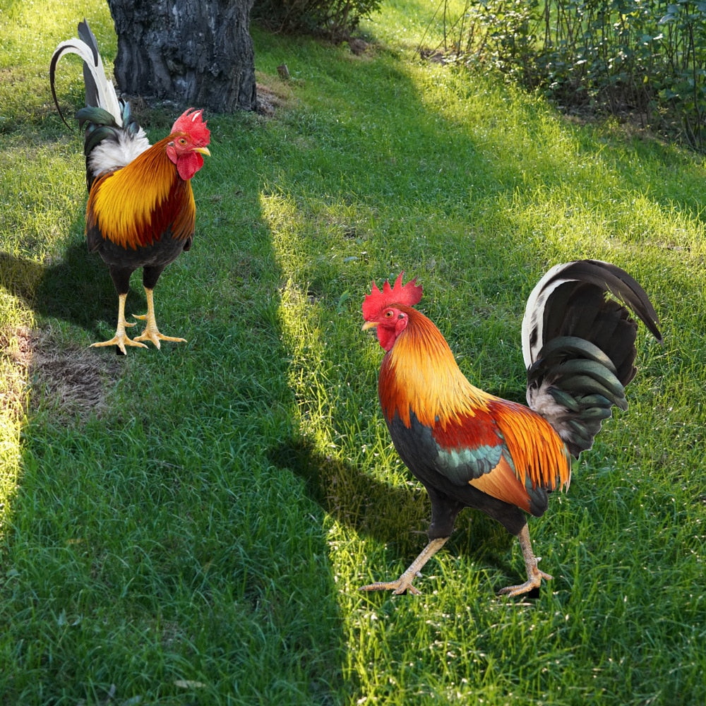 Animal Niezniszczalny Aranżacja Kwiatowa