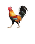 Animal Niezniszczalny Aranżacja Kwiatowa