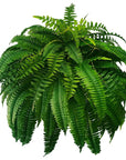 Planta Artificial de Parede Estacional
