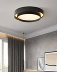 Modern Cylindrical LED Ceiling Lamp