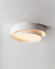 Modern Cylindrical LED Ceiling Lamp