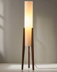 Modern Sculptural Floor Lamp