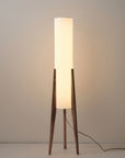 Modern Sculptural Floor Lamp